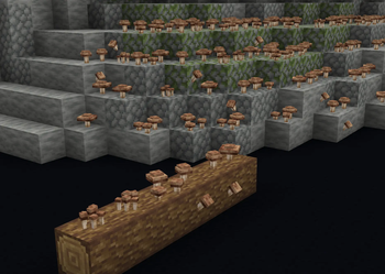 Mushroom Log