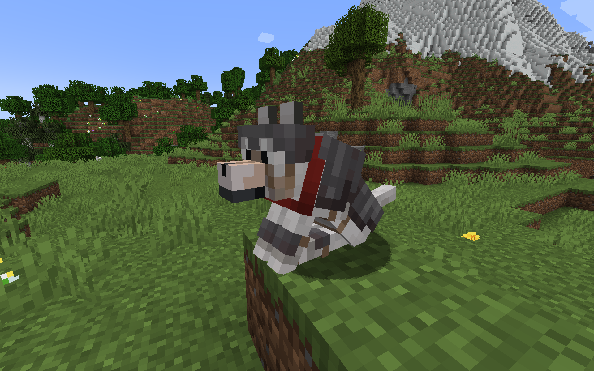 Netherite Wolf Armor