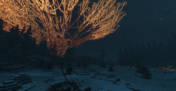 Tree of Sun