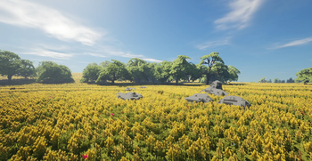 Pasture Field