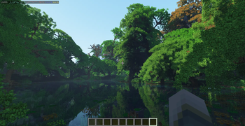 Lake in the Forest