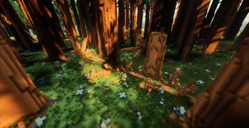 Coarse Woody Debris