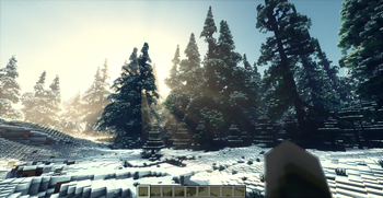 Snowy Taiga