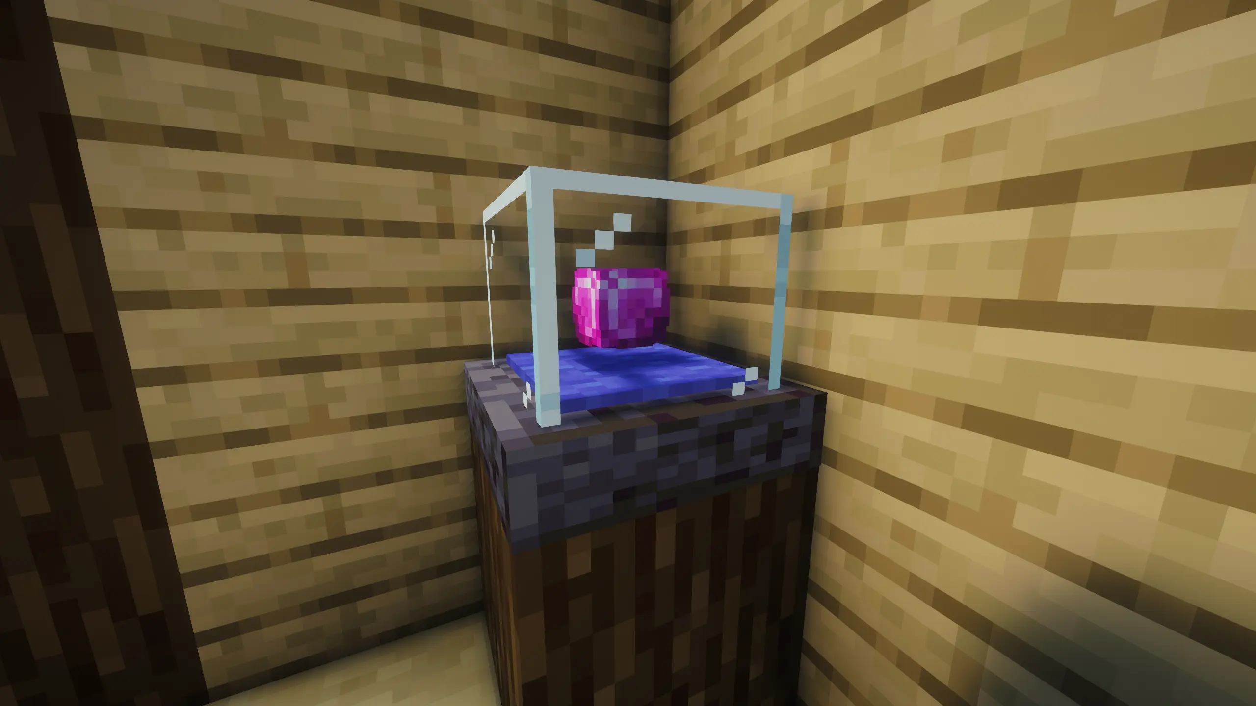 Display Case