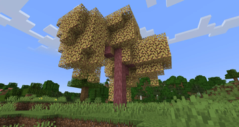 Yellow Willow Trees