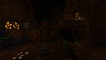Cave
