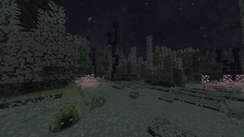 Veiled Woodlands + Rubblemite & Rustle