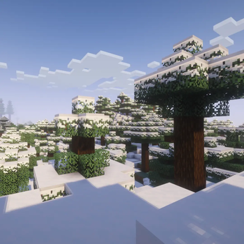 New Snow Cover