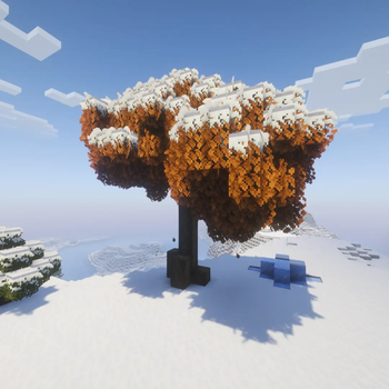 Giant Old Oak