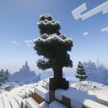 Lone Leaning Spruce
