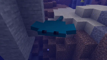 Stingray