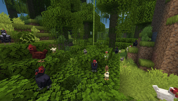 Jungle