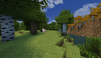 Forest with Sheep