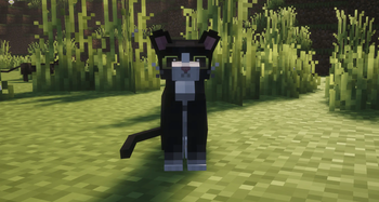 Tuxedo