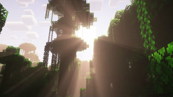 Jungle Sunrise