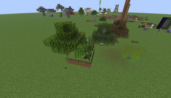 Biome-Aware Plant Color