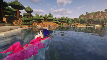 Taking A Swim With Basculegion