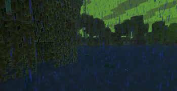 Mangrove Swamp