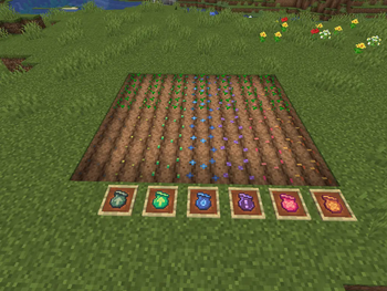 Dry Crops
