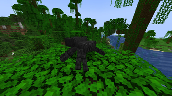 Black Tarantula