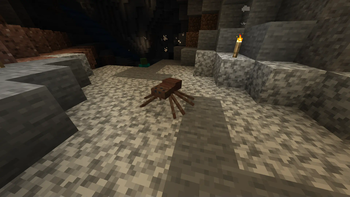 Brown Spiderling
