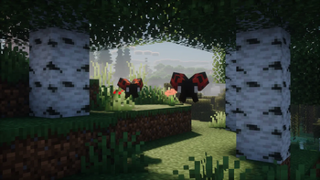 Ladybugs