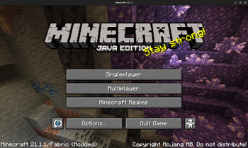 Minecraft 21.1.1 (1.17.1)