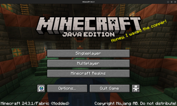 Minecraft 24.3.1 (1.21.3)