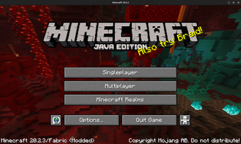 Minecraft 20.2.3 (1.16.5)