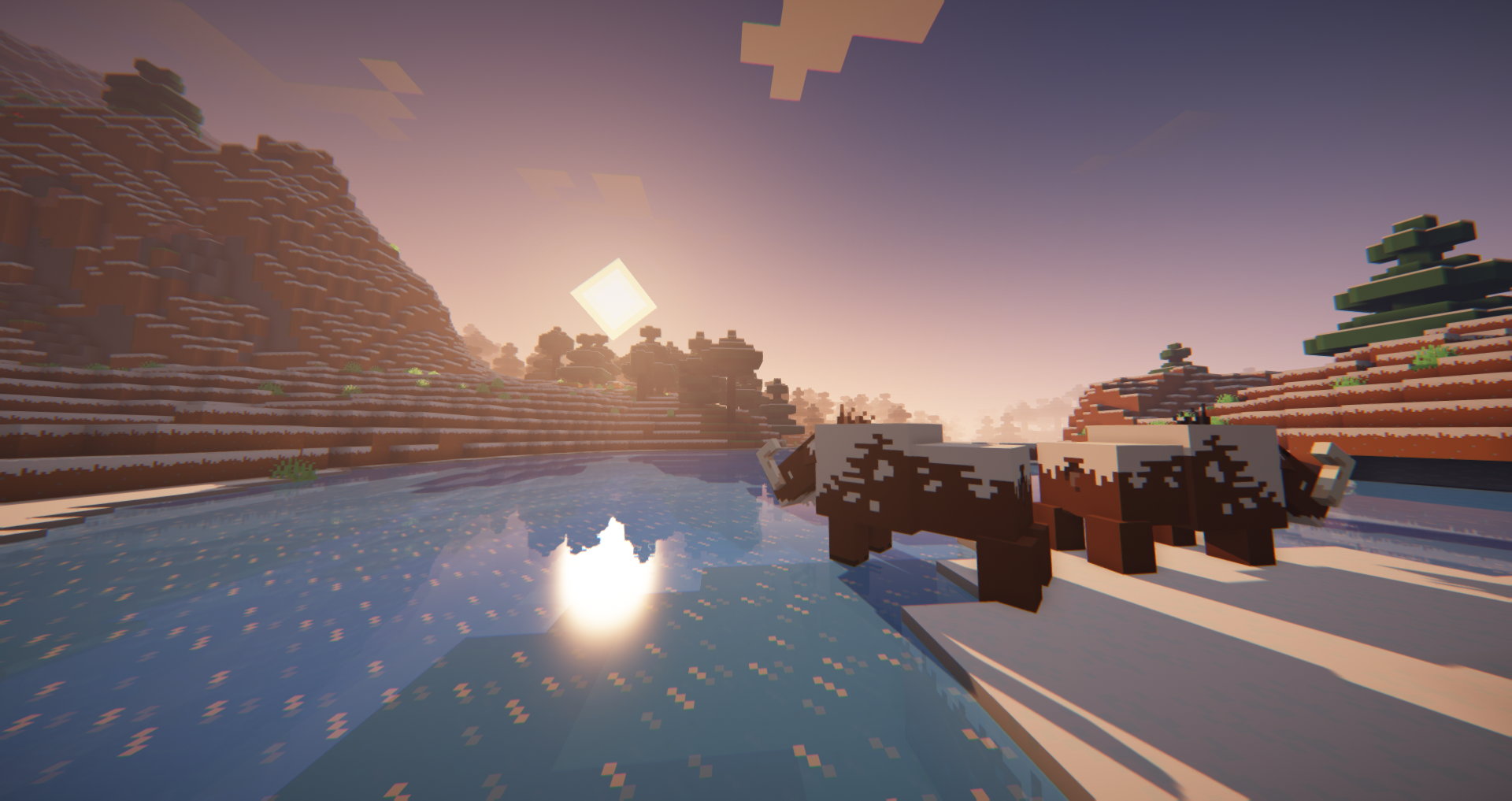 screenie