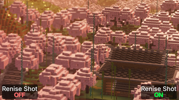 Cropped screenshot: 1080p vs 4k Renice Shot