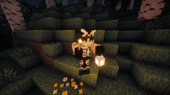 with Not Enough Animations