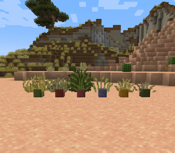 Grass plants in Dyed Flower Pots!