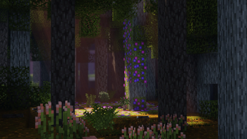 Glade