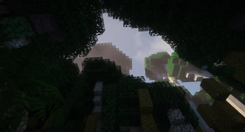 Canopy Break