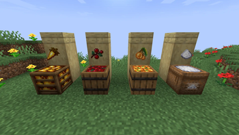 Decorative Blocks
