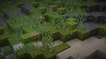 Lush Caves (Ground)