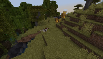 Psilopterus in savanna biome