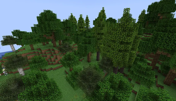 Gingko trees can be found among other trees in forest biomes