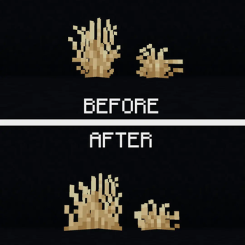 Before and After 2
