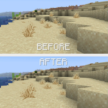 Before and After 1