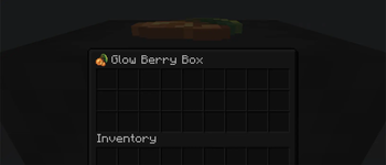 Container Icon
