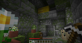 Inside of a house in Moss City