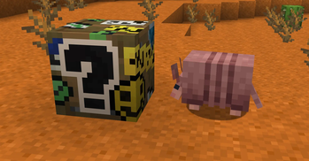 Magical Mystery Box! (Armadillo Not Included™)