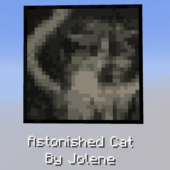 Astonished Cat