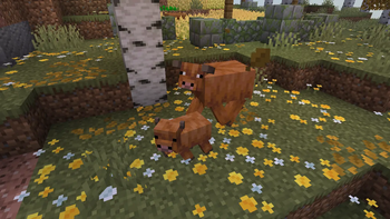 Cold Calf