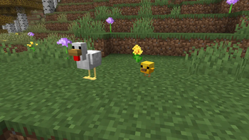 Chick