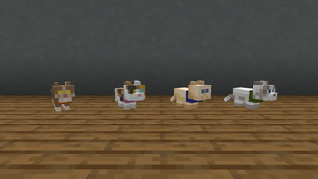 Tamed Kittens