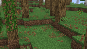 Tree with vines, saplings, and a dead bush