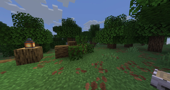 Stumps